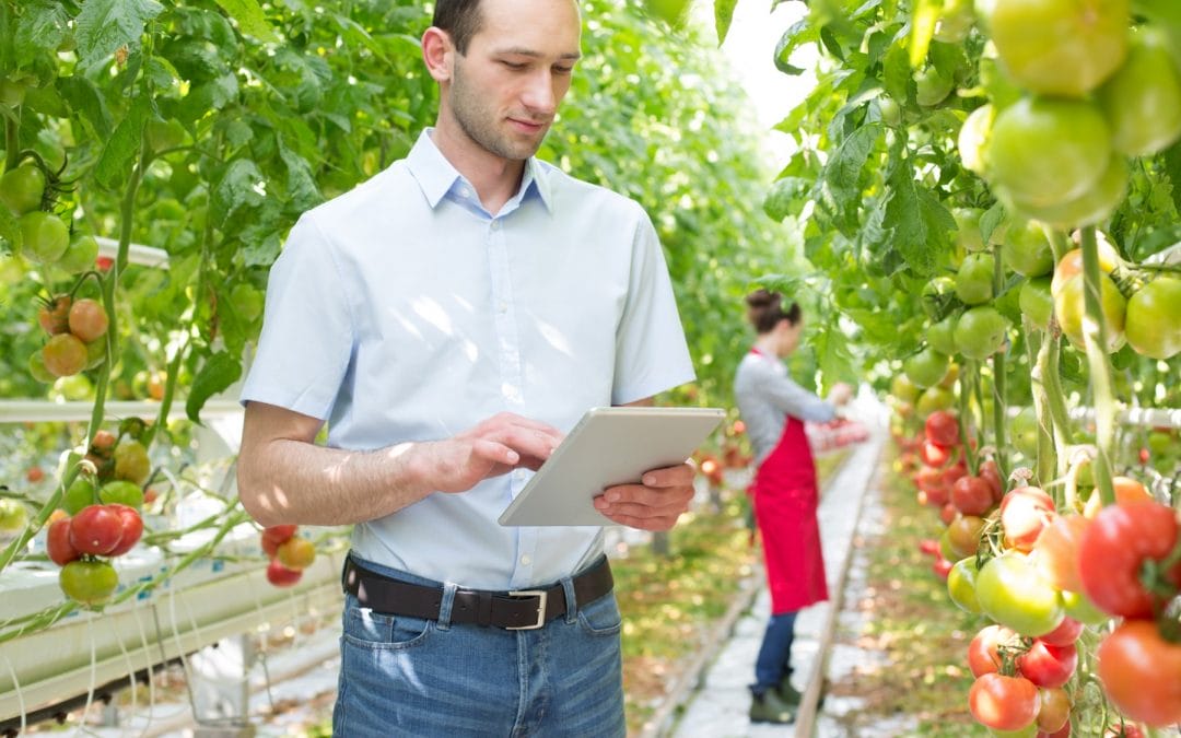 fresh-produce-netsuite-consignment-management-growers-green-house-erp-cloud-crm