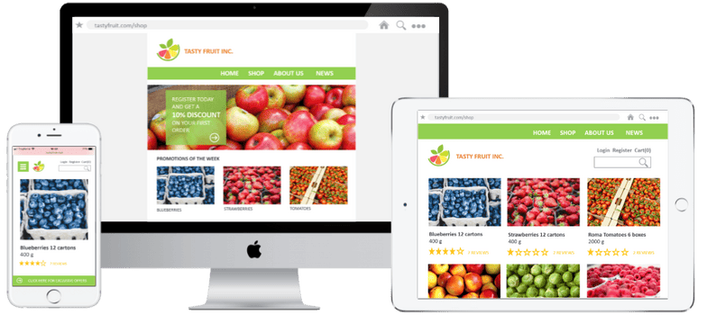 ecommerce webshop netsuite fresh produce agf fruit groente online verkoop