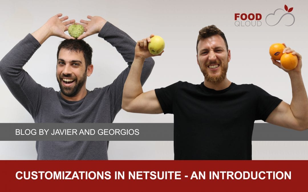 The ease of customizing in NetSuite – An introduction
