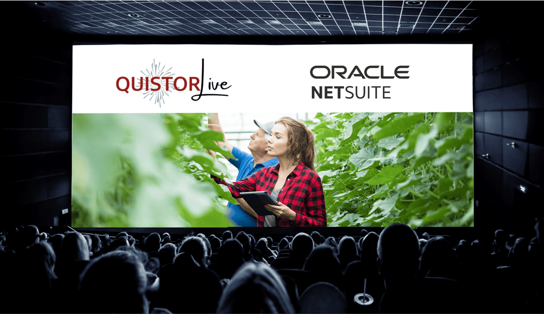 NetSuite stream tijdens Quistor Live op 21 april